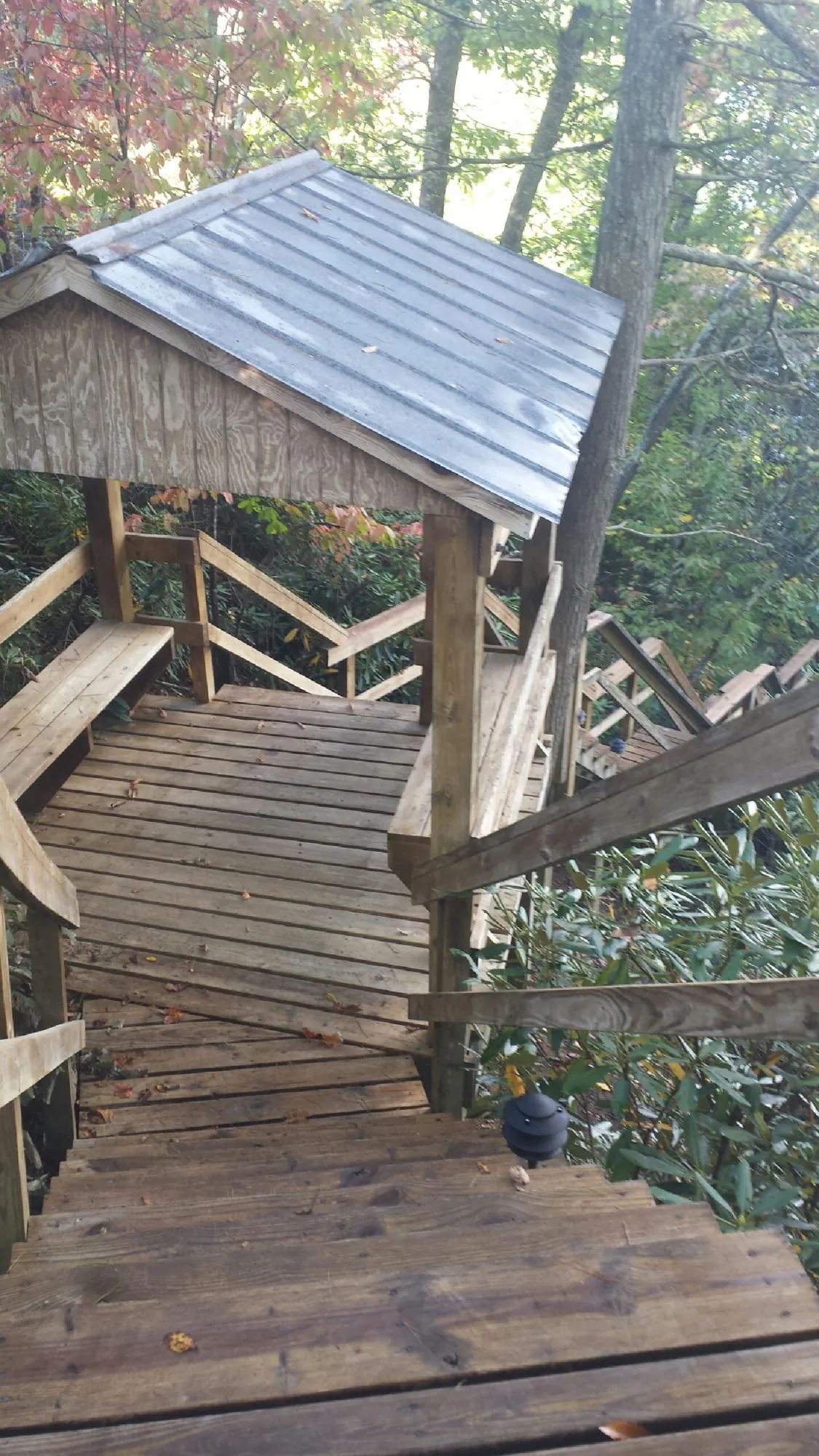 Metal roofed shelter over wooden steps on a wooded walkway in Front Royal